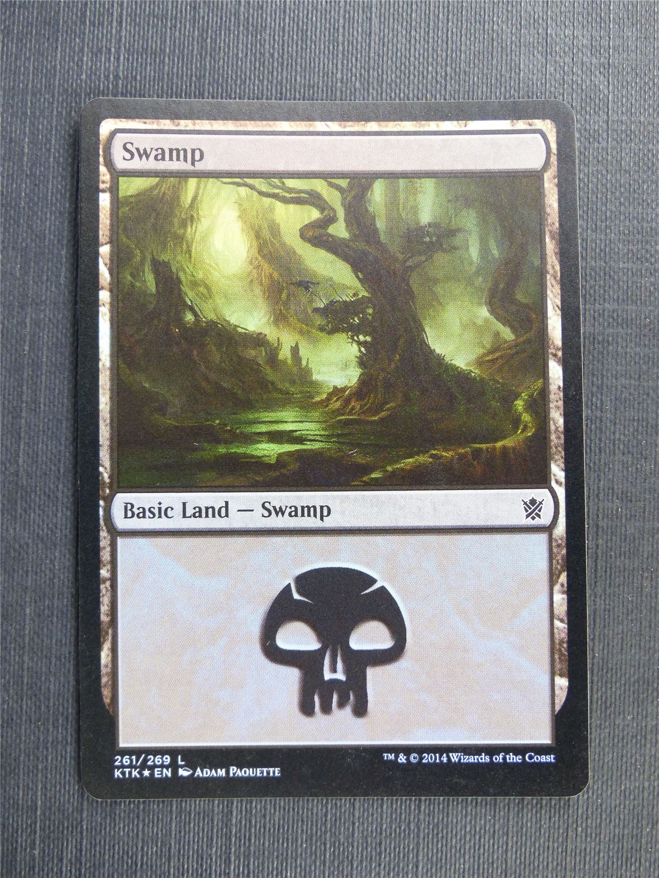 Swamp 261/269 Foil - Mtg Magic Cards #53S