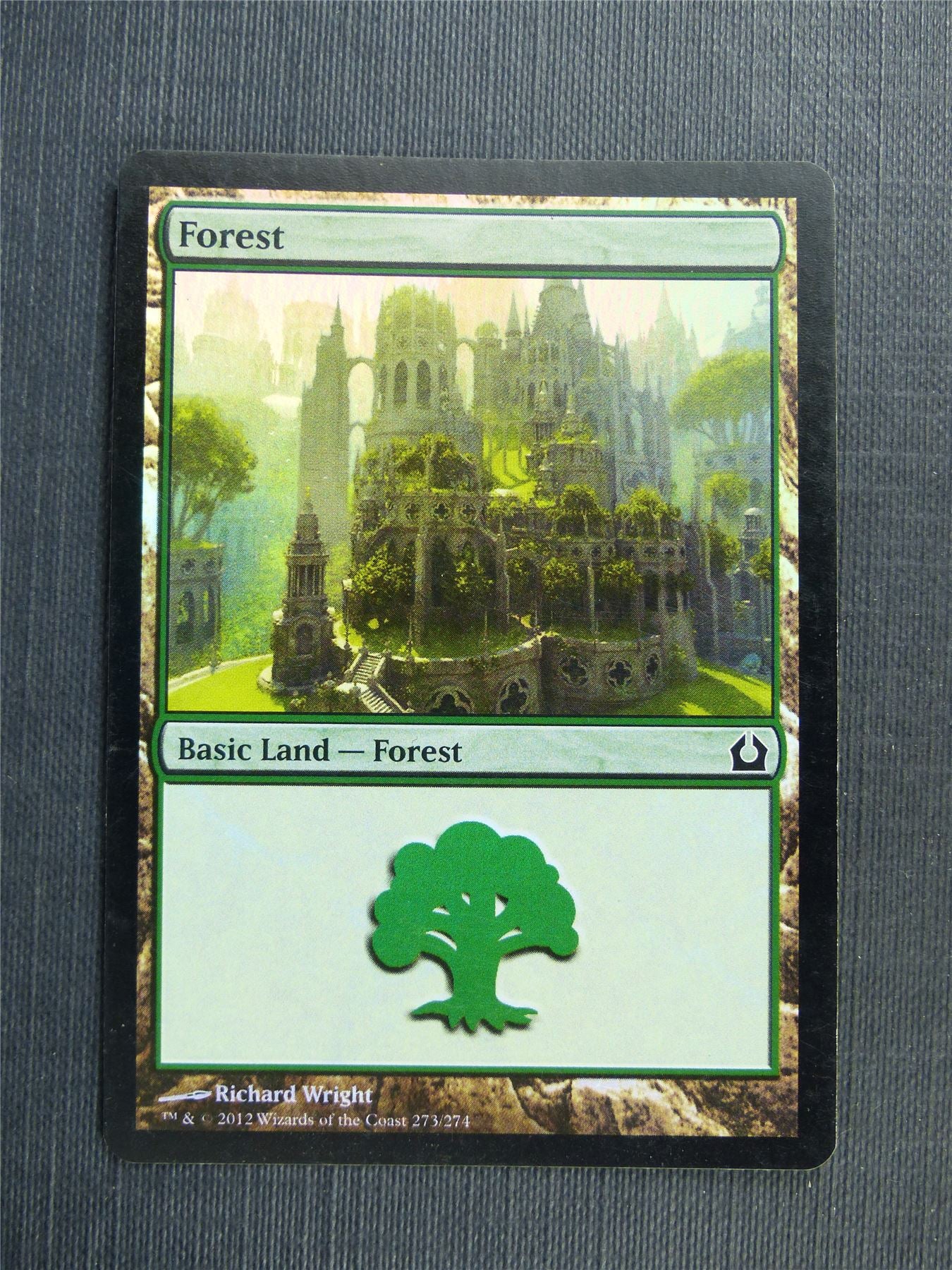 Forest 273/274 Foil - Mtg Magic Cards #524