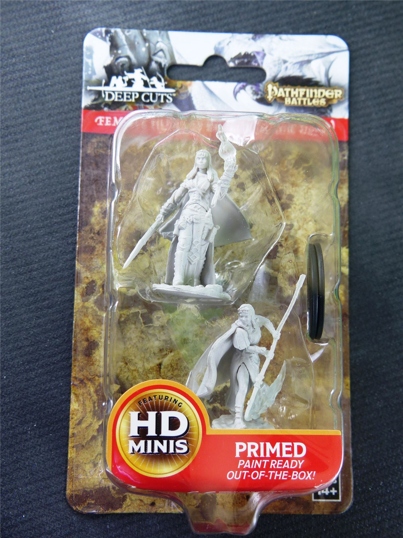 Human Female Oracle - Magic User Miniature - Pathfinder Battles Miniature #A0