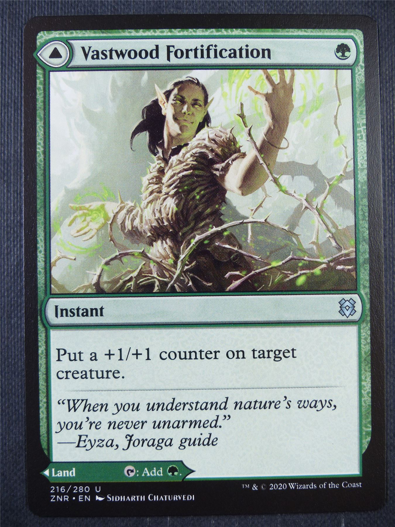 Vastwood Fortification - Mtg Card #8UM