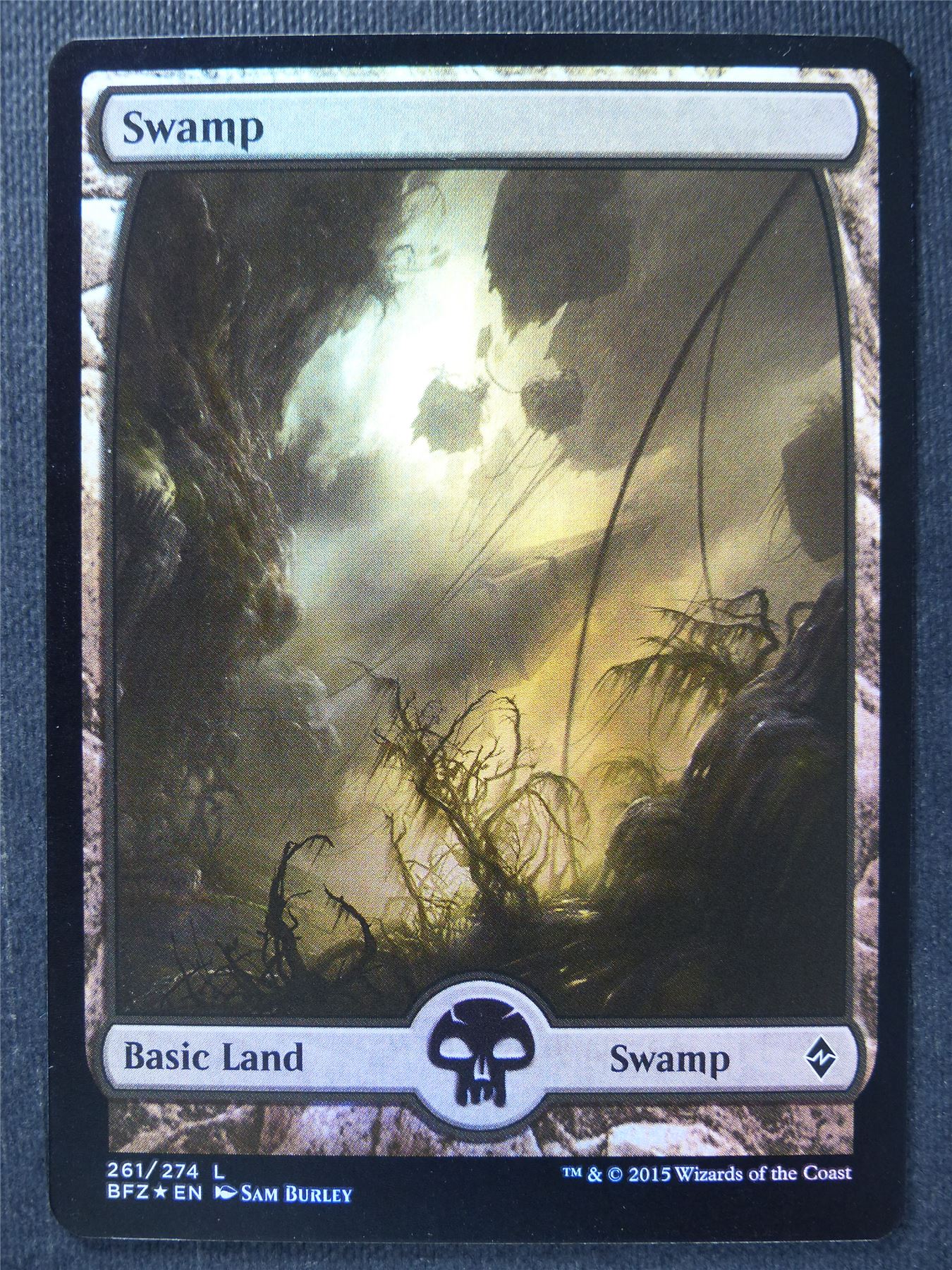 Swamp 261/274 Full Art Foil - Mtg Magic Card #VZ