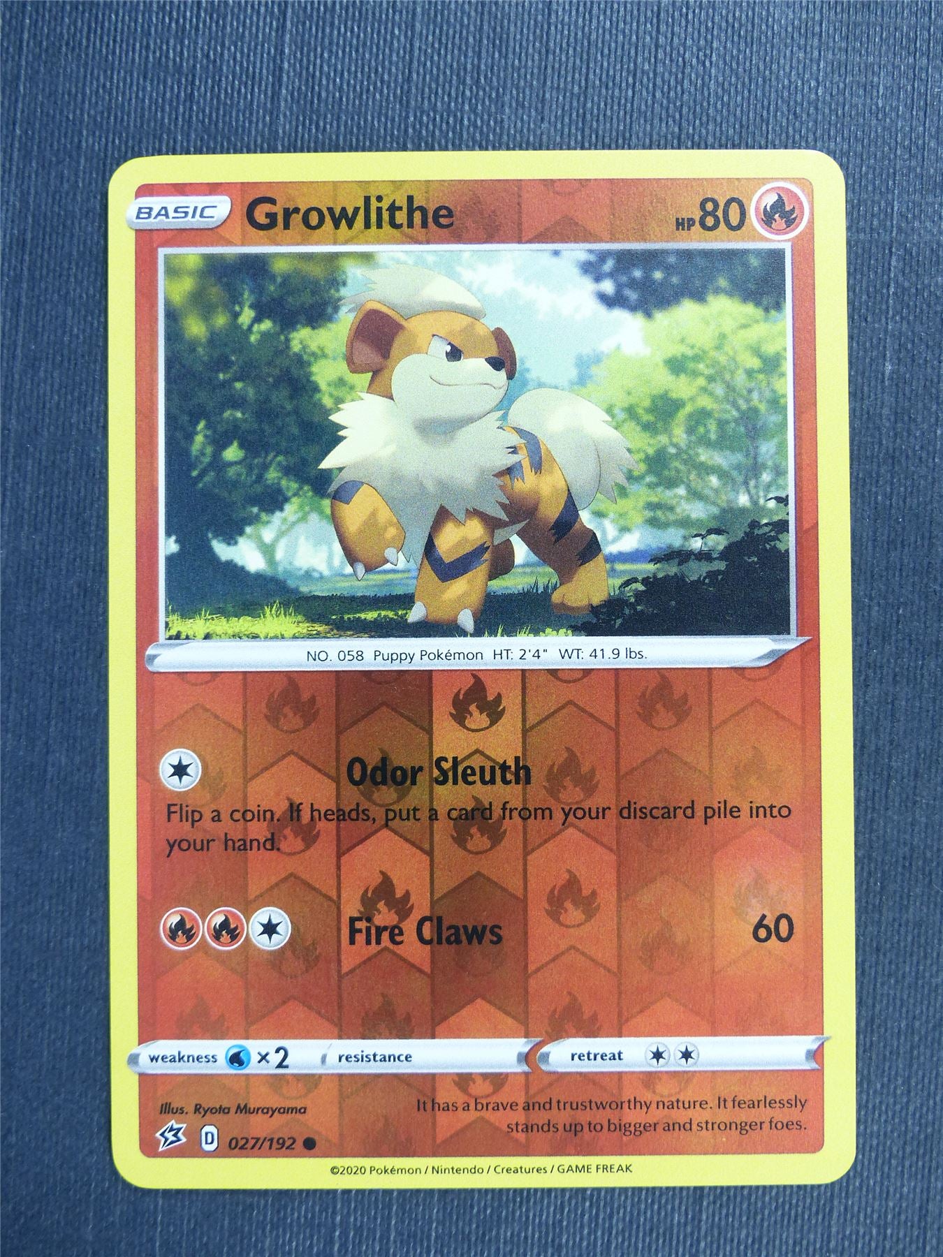 Growlithe 027/192 Holo - RCL - Pokemon Card #3JV Archeron Growlithe 027/192 Holo - RCL - Pokemon Card #3JV Archeron