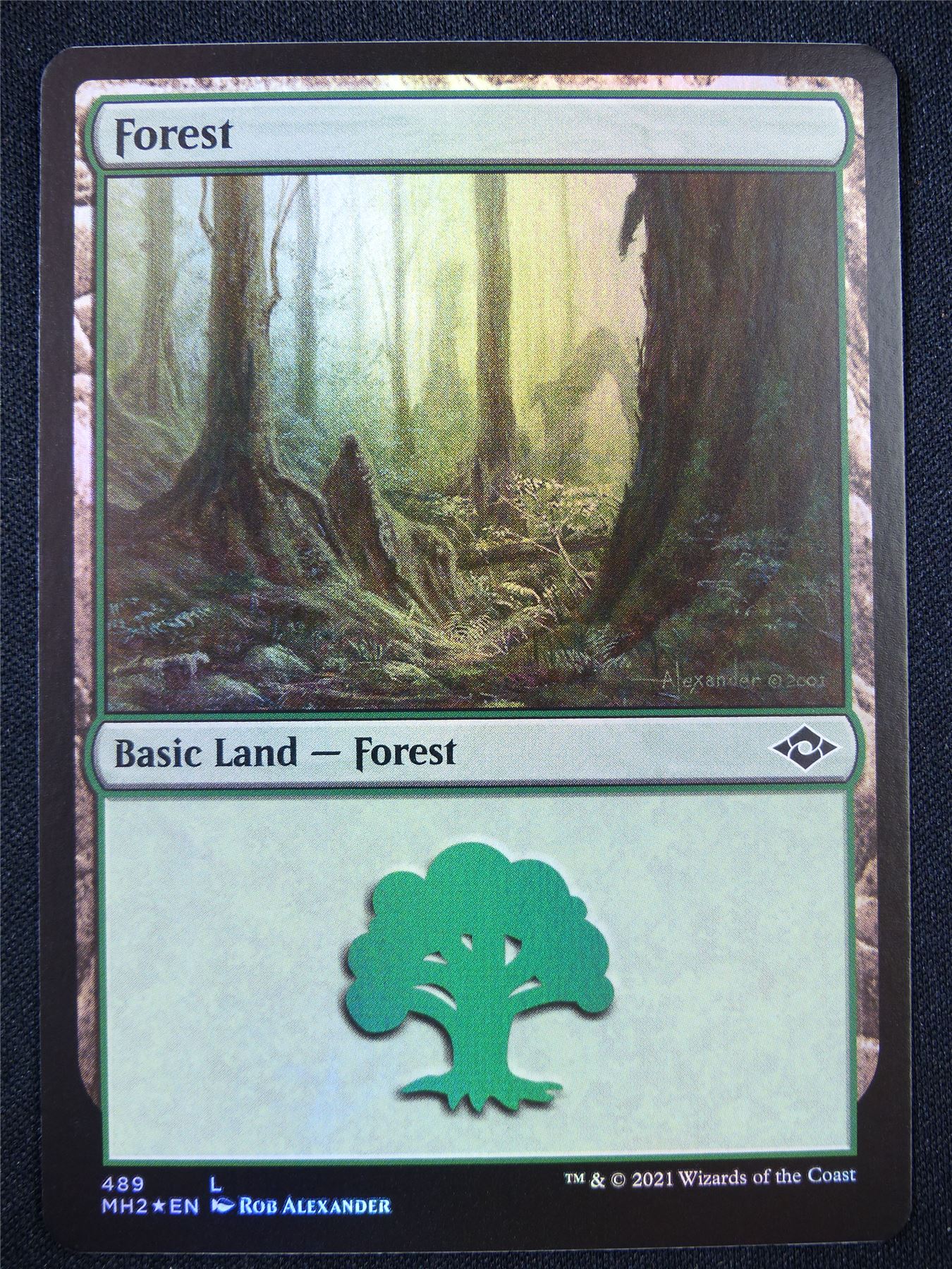 Forest 489 Foil - Mtg Card #22L