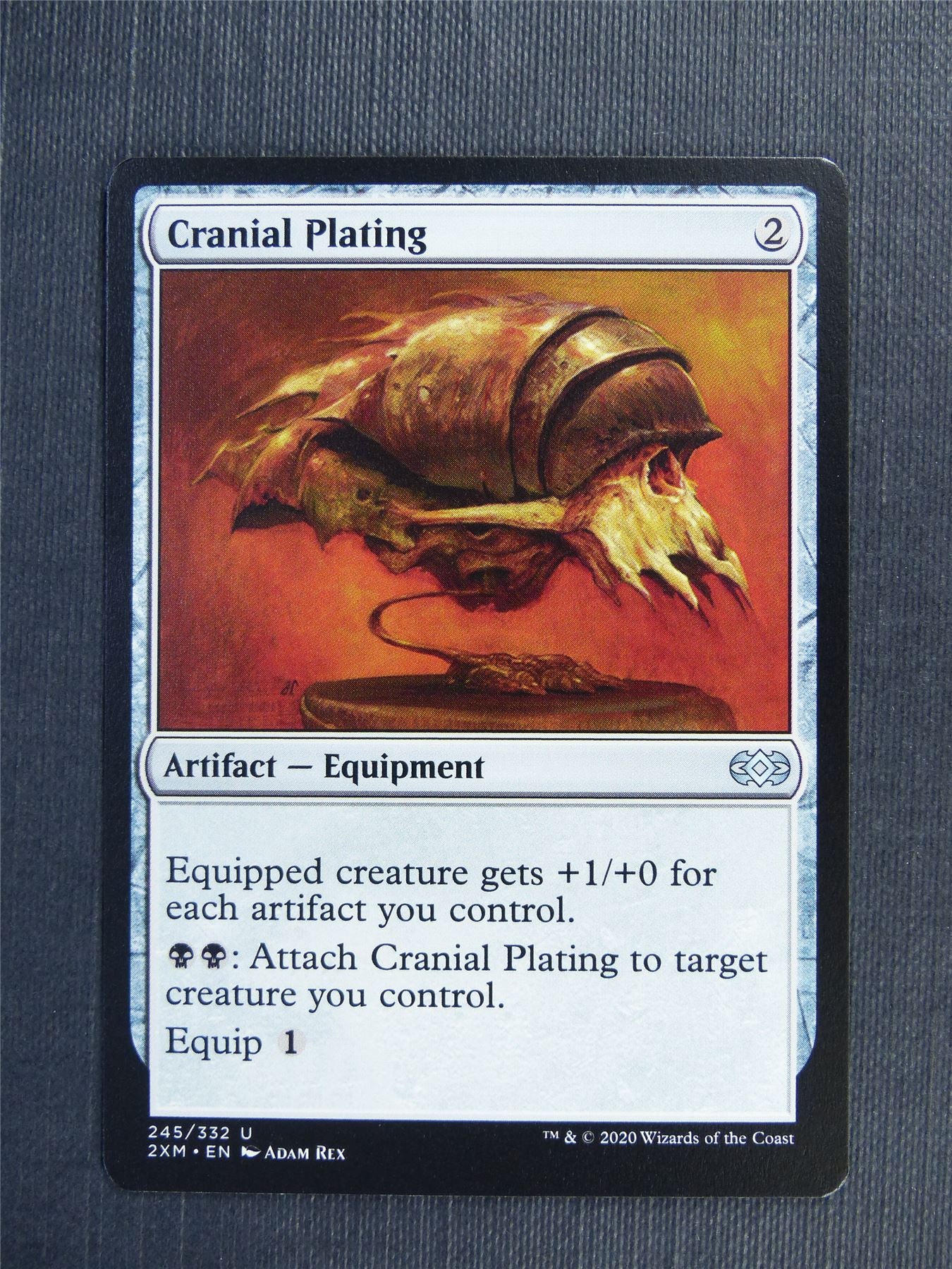 Cranial Plating