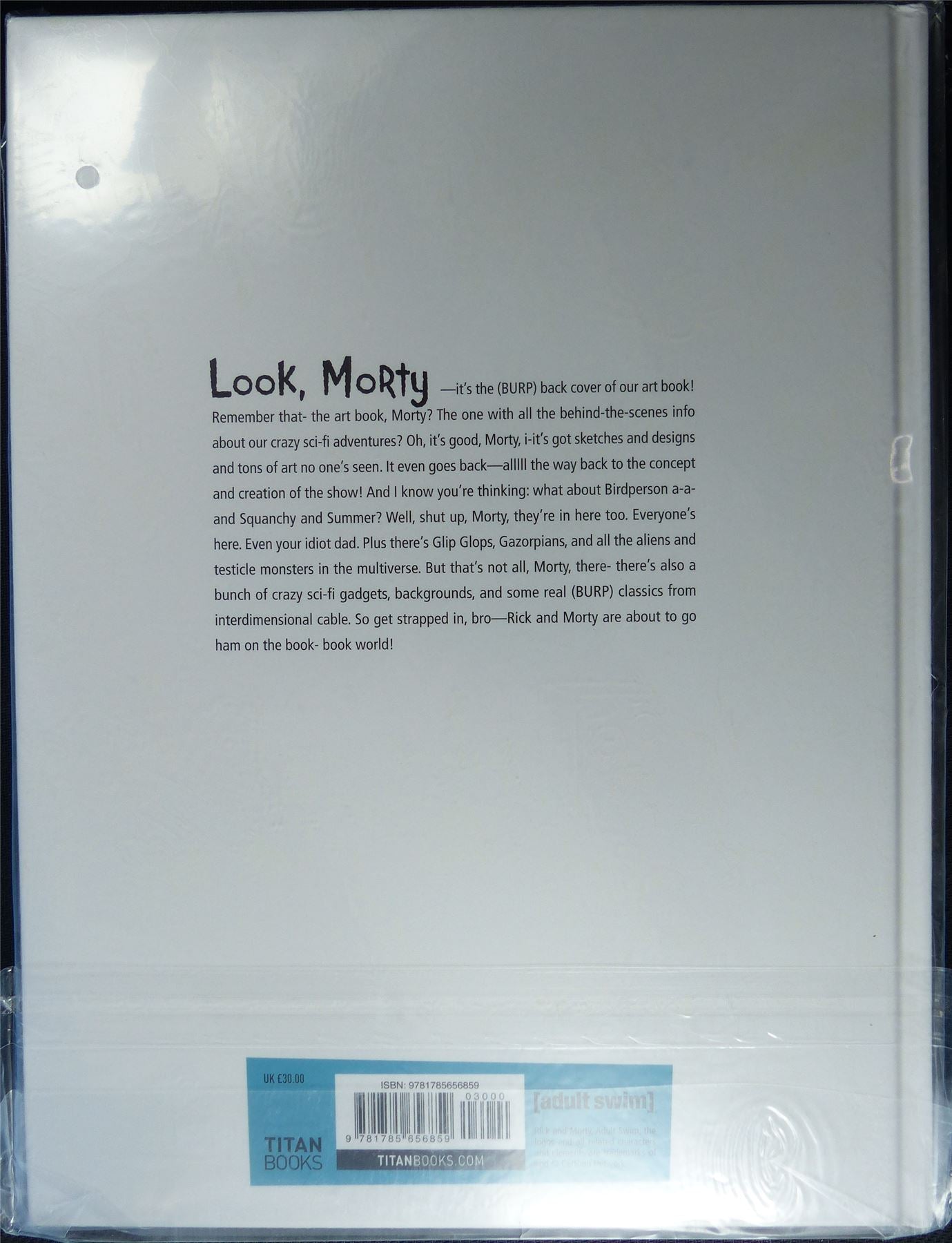 The Art of RICK and Morty - Titan Book Hardback #MY