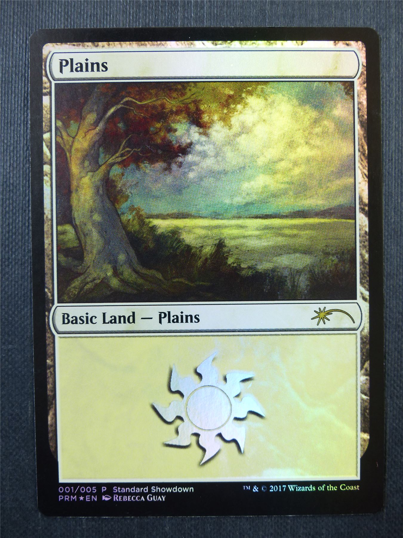Plains 001/005 Promo Foil - Mtg Card #412