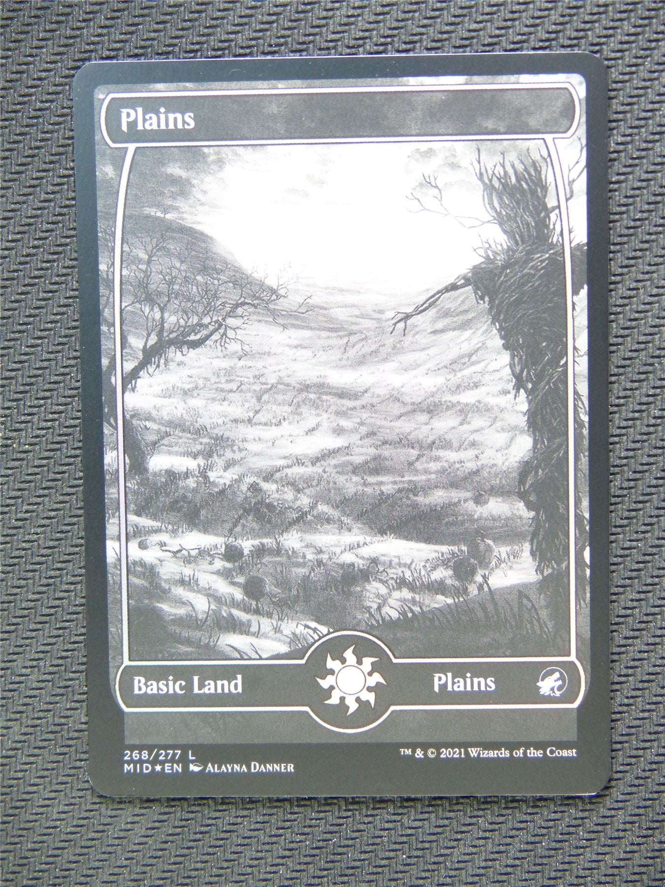 Plains Basic Land Foil - Innistrad - Mtg Card #3R0
