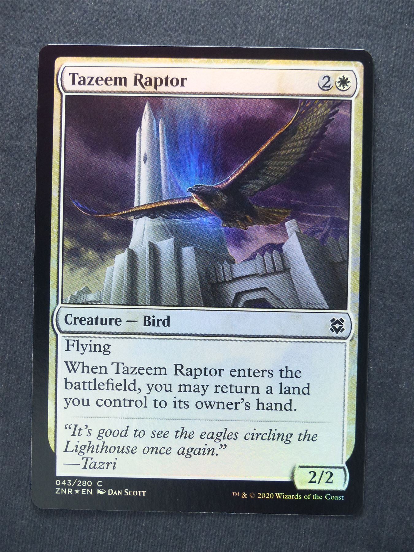 Tazeem Raptor Foil