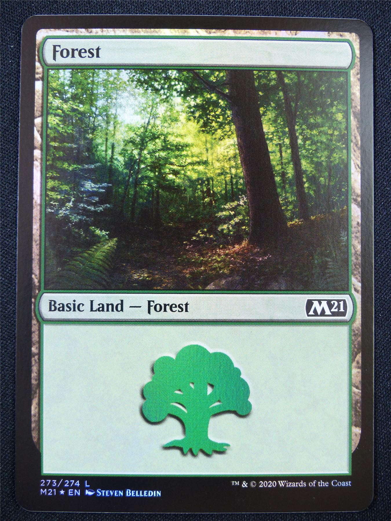 Forest 273/274 Foil - Mtg Card #238