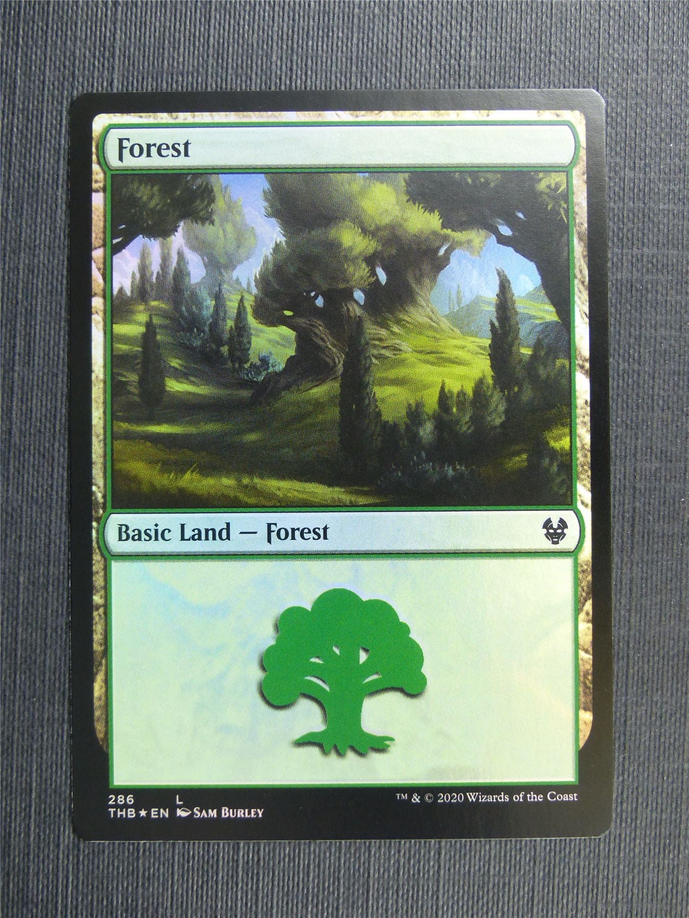 Forest 286 Foil - Theros Collector Ed - Mtg Magic Cards #3OF