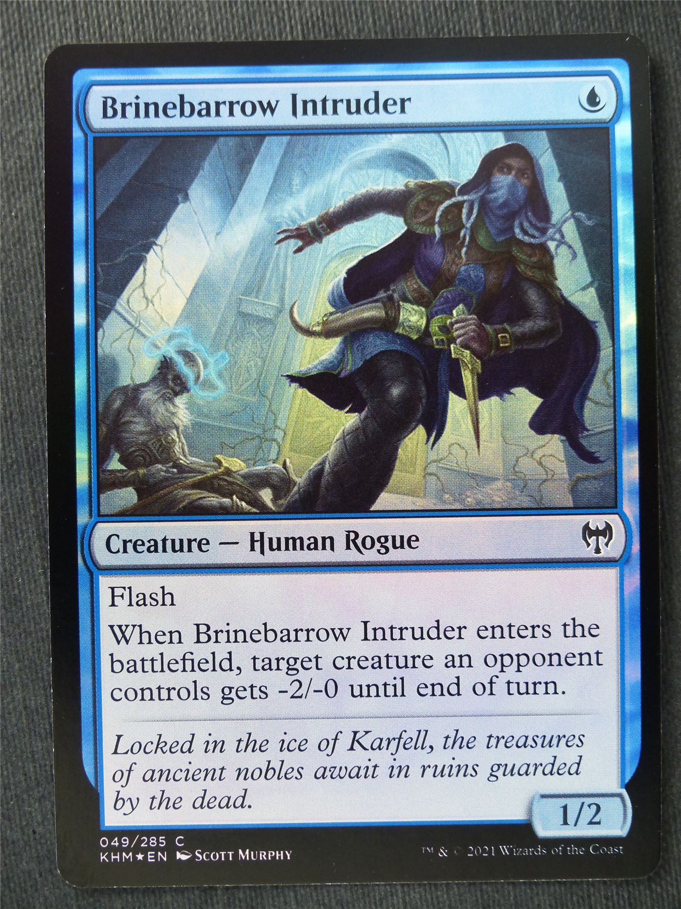 Brinebarrow Intruder Foil - Mtg Magic Cards #WC