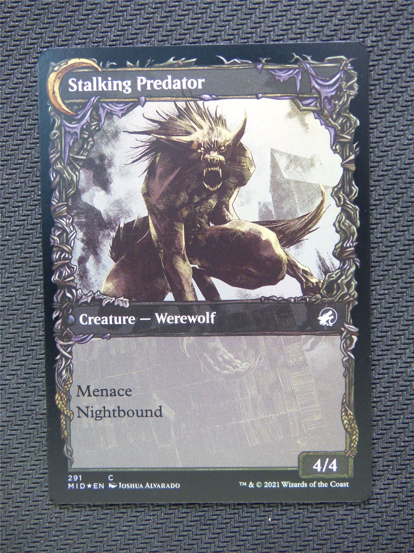 Shady Traveler Stalking Predator Foil Showcase - Innistrad - Mtg Card #3M4
