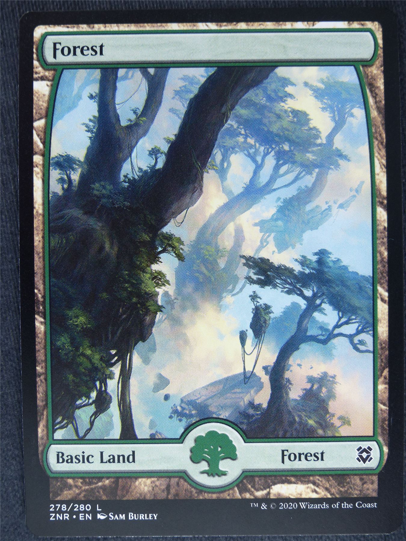 Forest 278/280 Full Art Mint - Mtg Magic Cards #2A