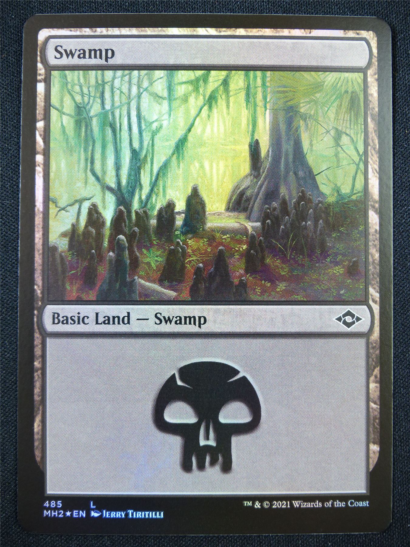 Swamp 485 Foil - Mtg Card #22H