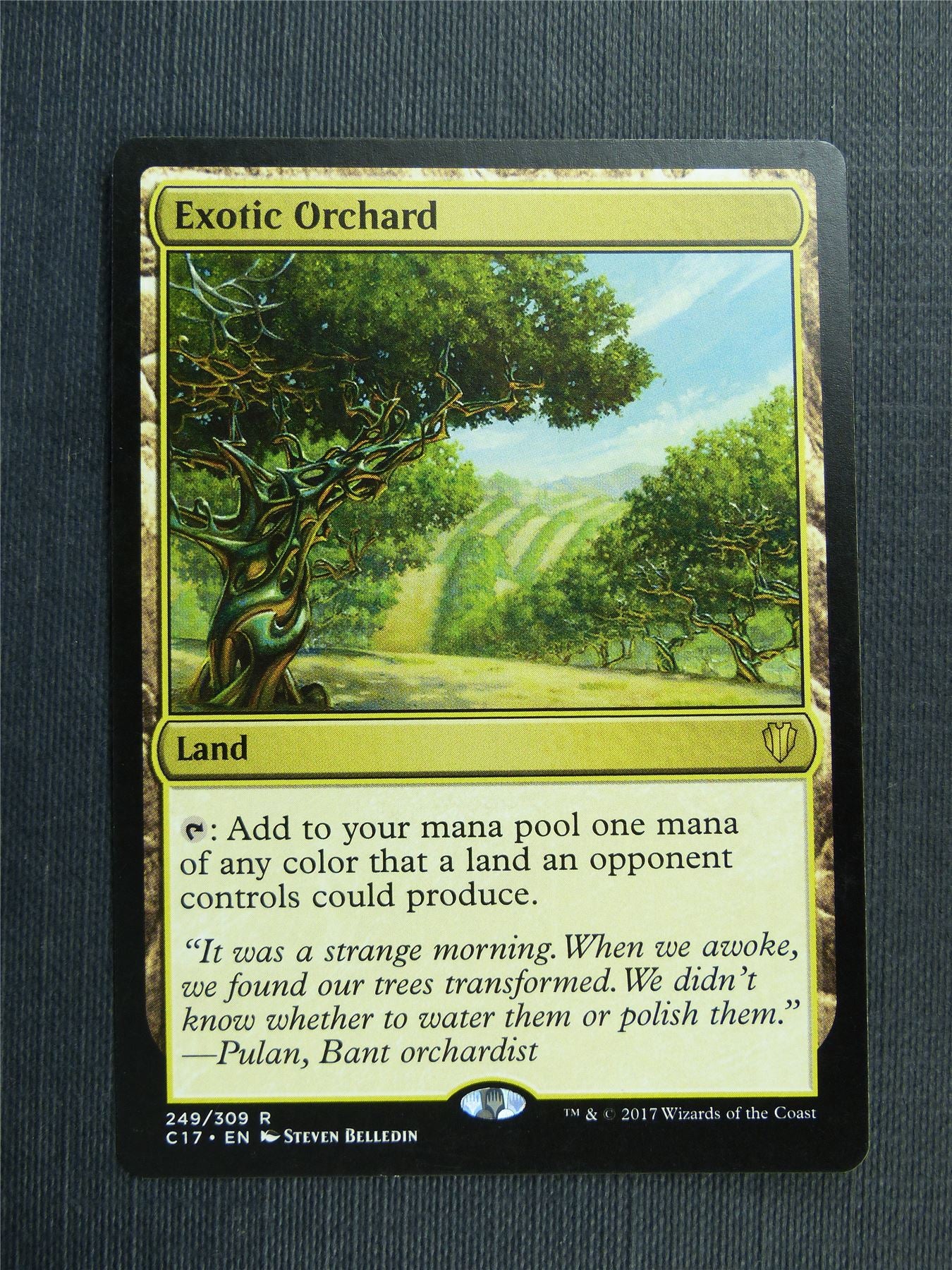 Exotic Orchard - Mtg Magic Cards #4DC