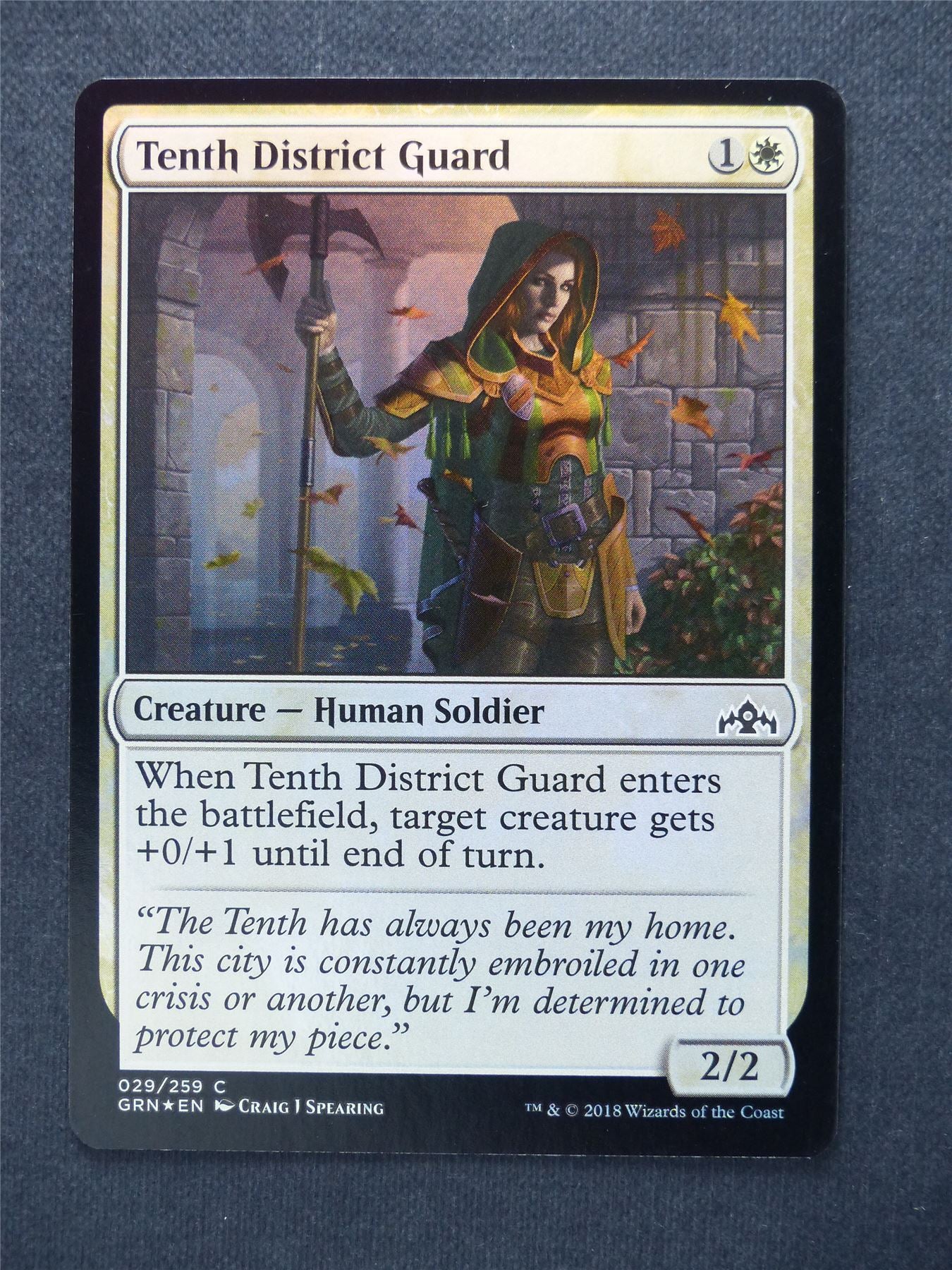 Tenth District Guard Foil - Mtg Magic Cards #L5