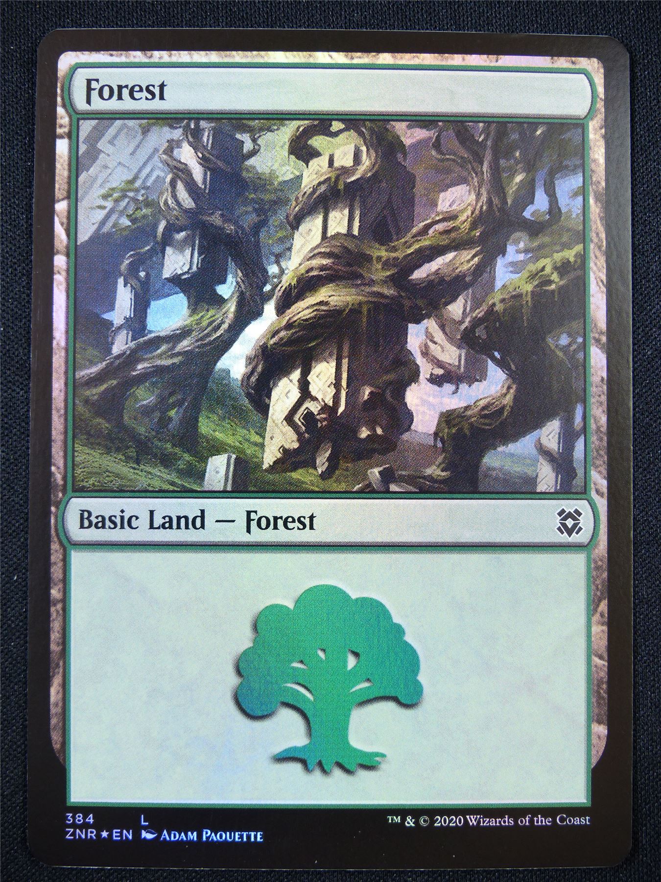 Forest 384 Foil - Mtg Card #218