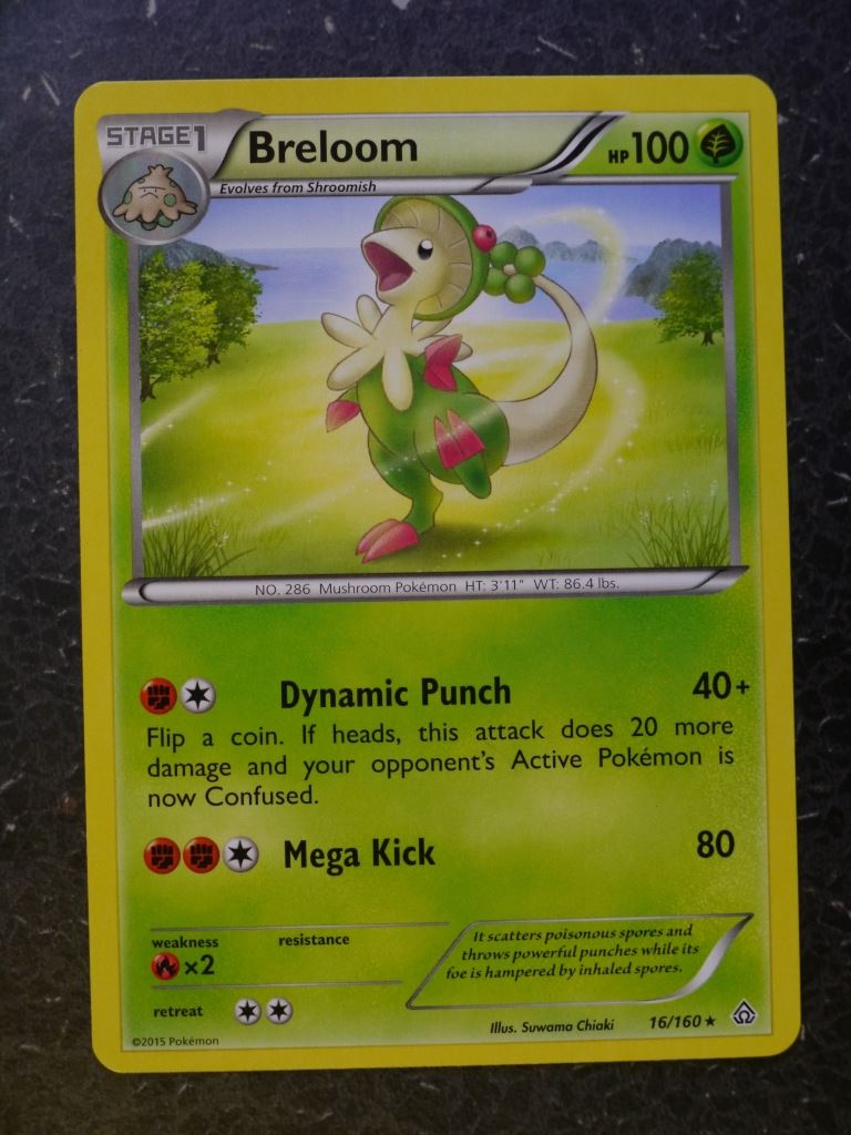 Pokemon Cards: BRELOOM 16/160 RARE # 6B41