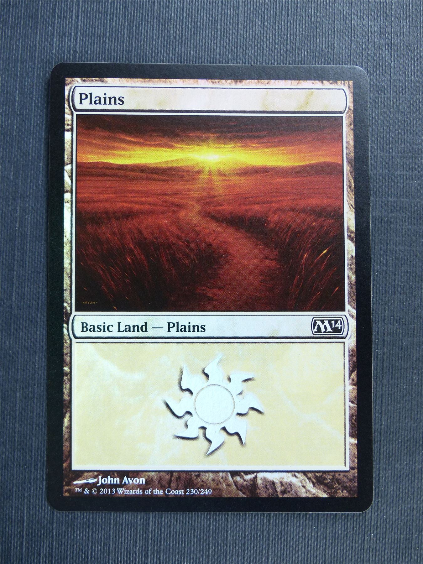 Plains 230/249 Foil - Mtg Magic Cards #53C