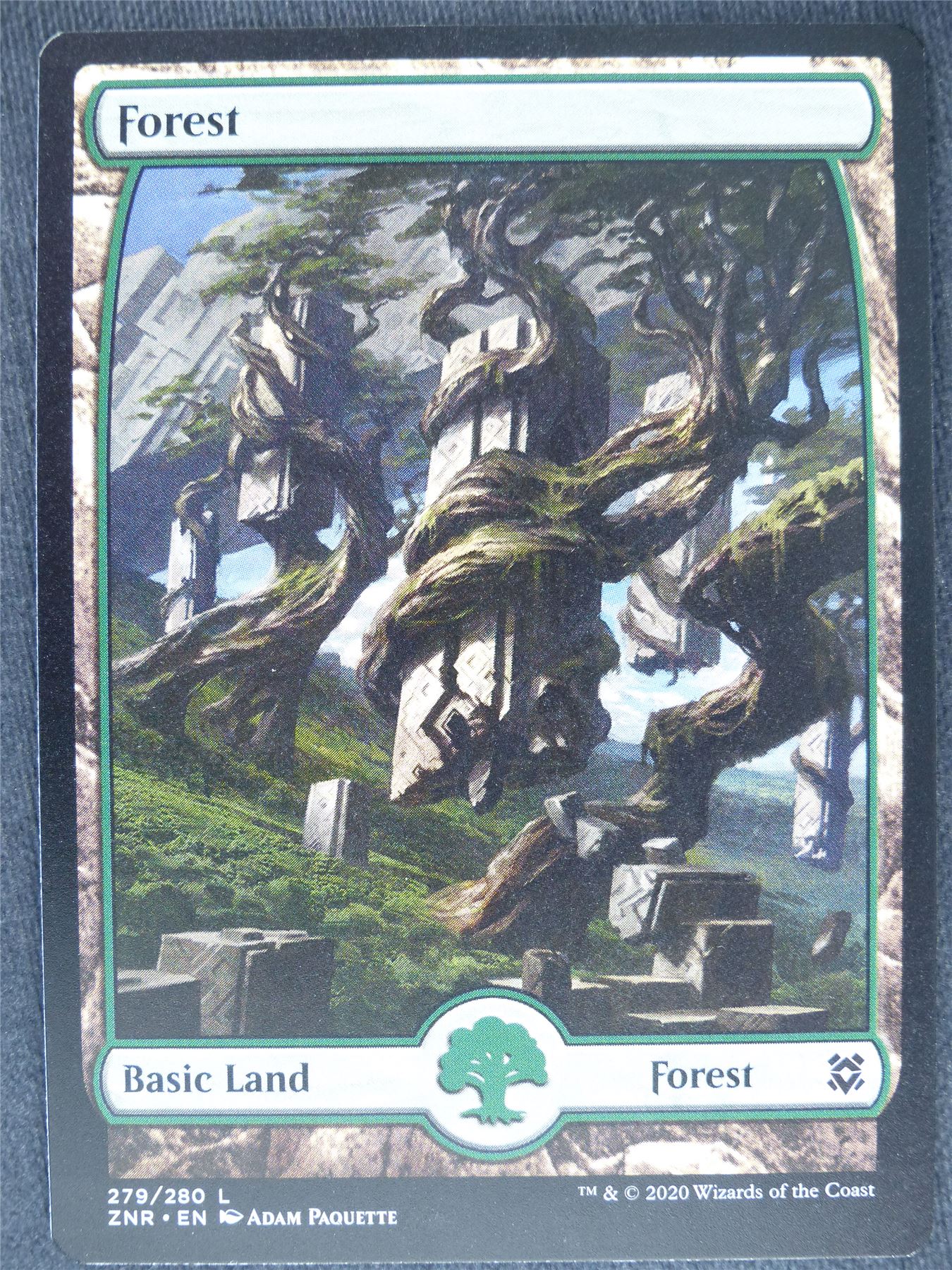 Forest 279/280 Full Art Mint - Mtg Magic Cards #2B