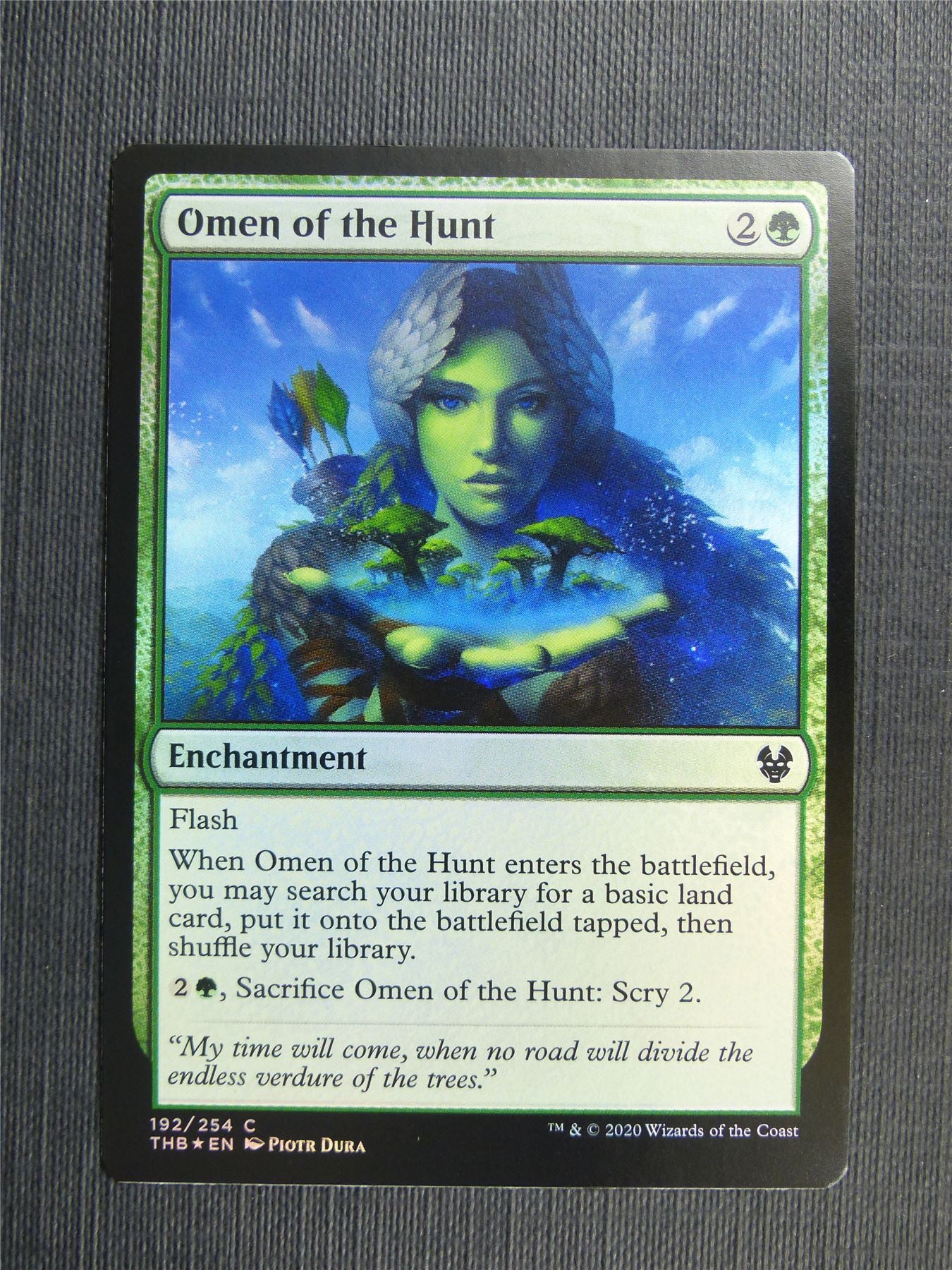Omen of the Hunt Foil - Theros Collector Ed - Mtg Magic Cards #3NN