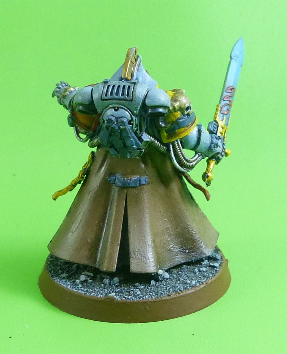 Space Wolves Librarian Painted - Warhammer AoS 40k #3SE