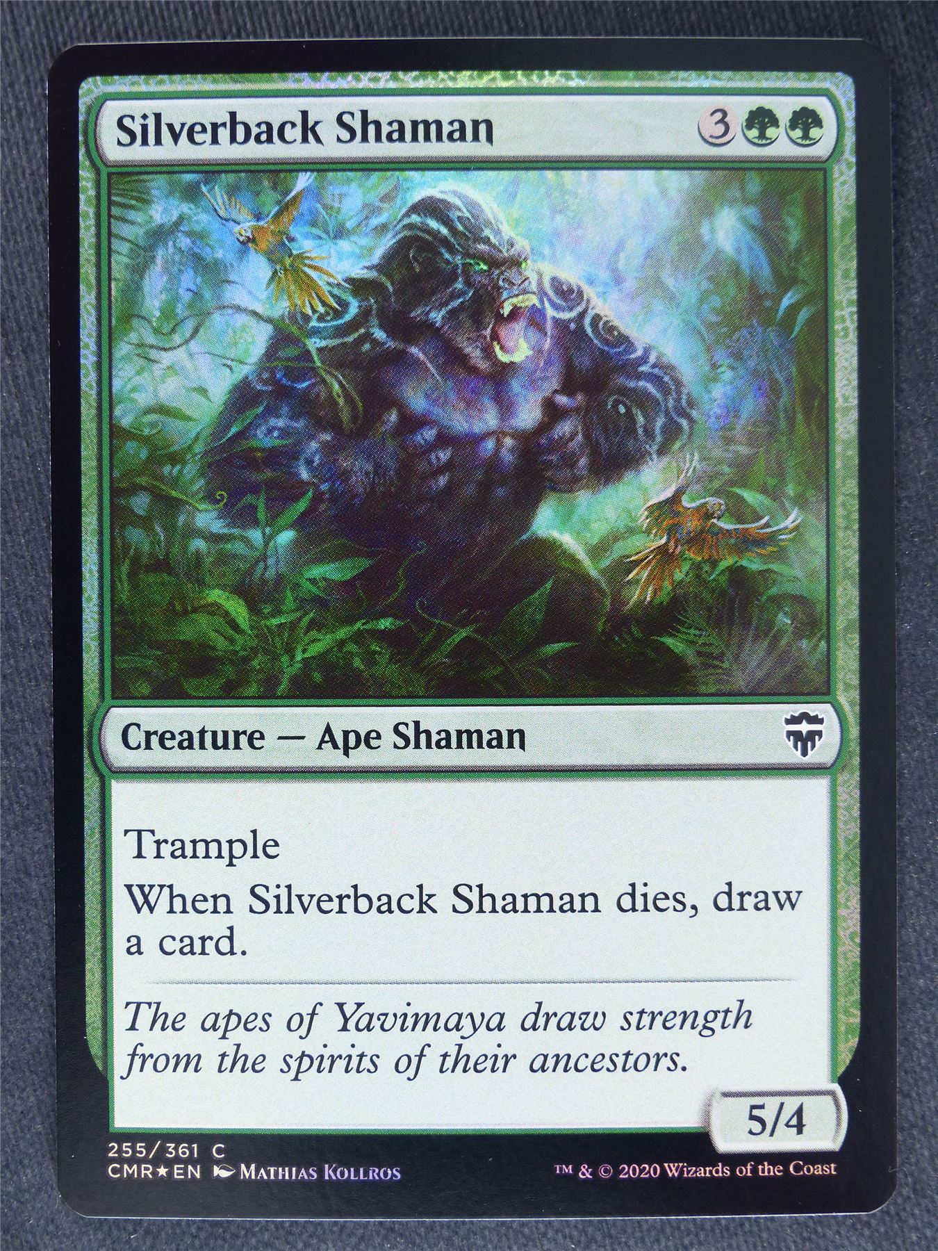Silverback Shaman Foil - Mtg Magic Cards #IL