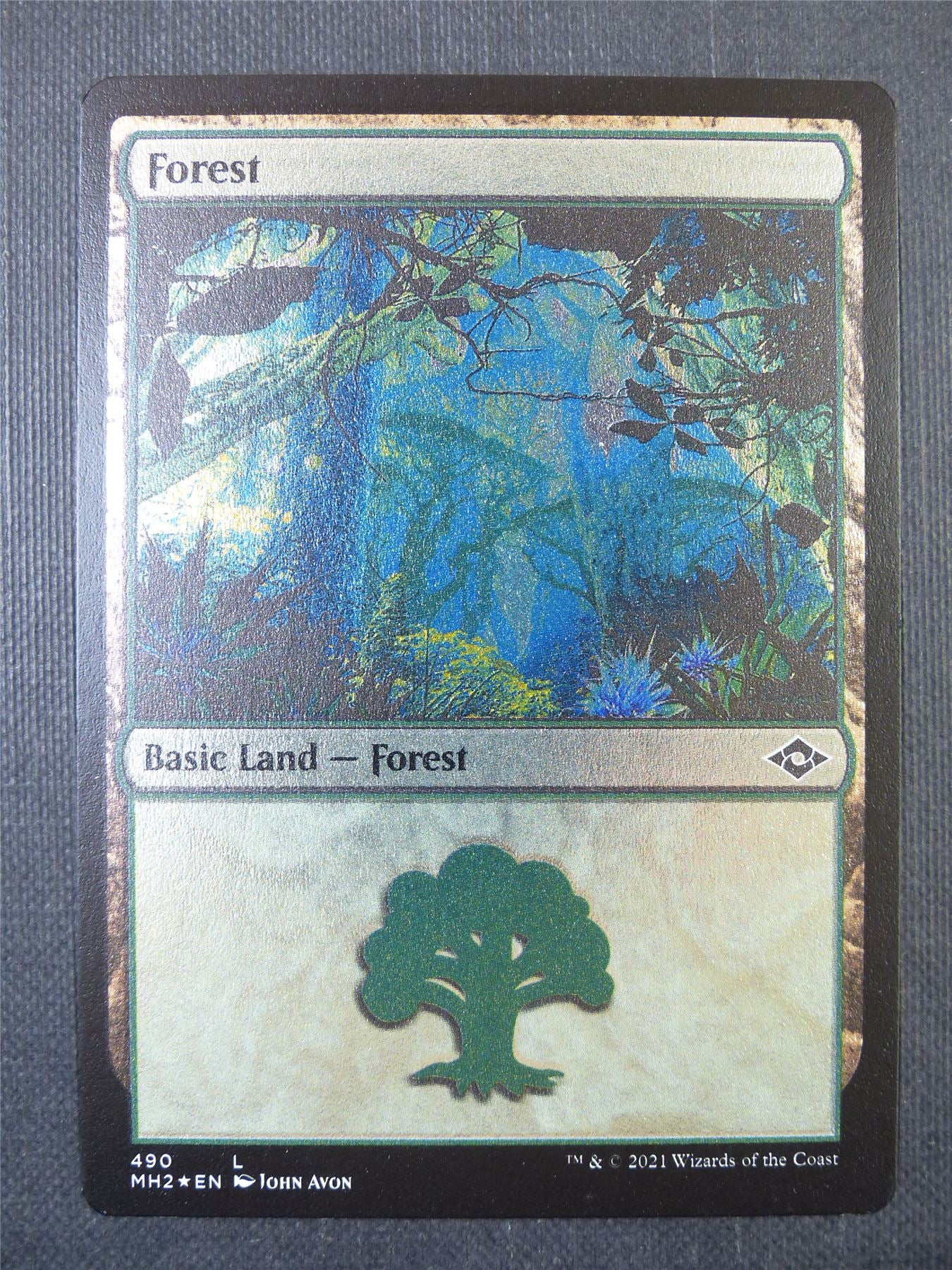 Forest Etched Foil - Mtg Card #8X7