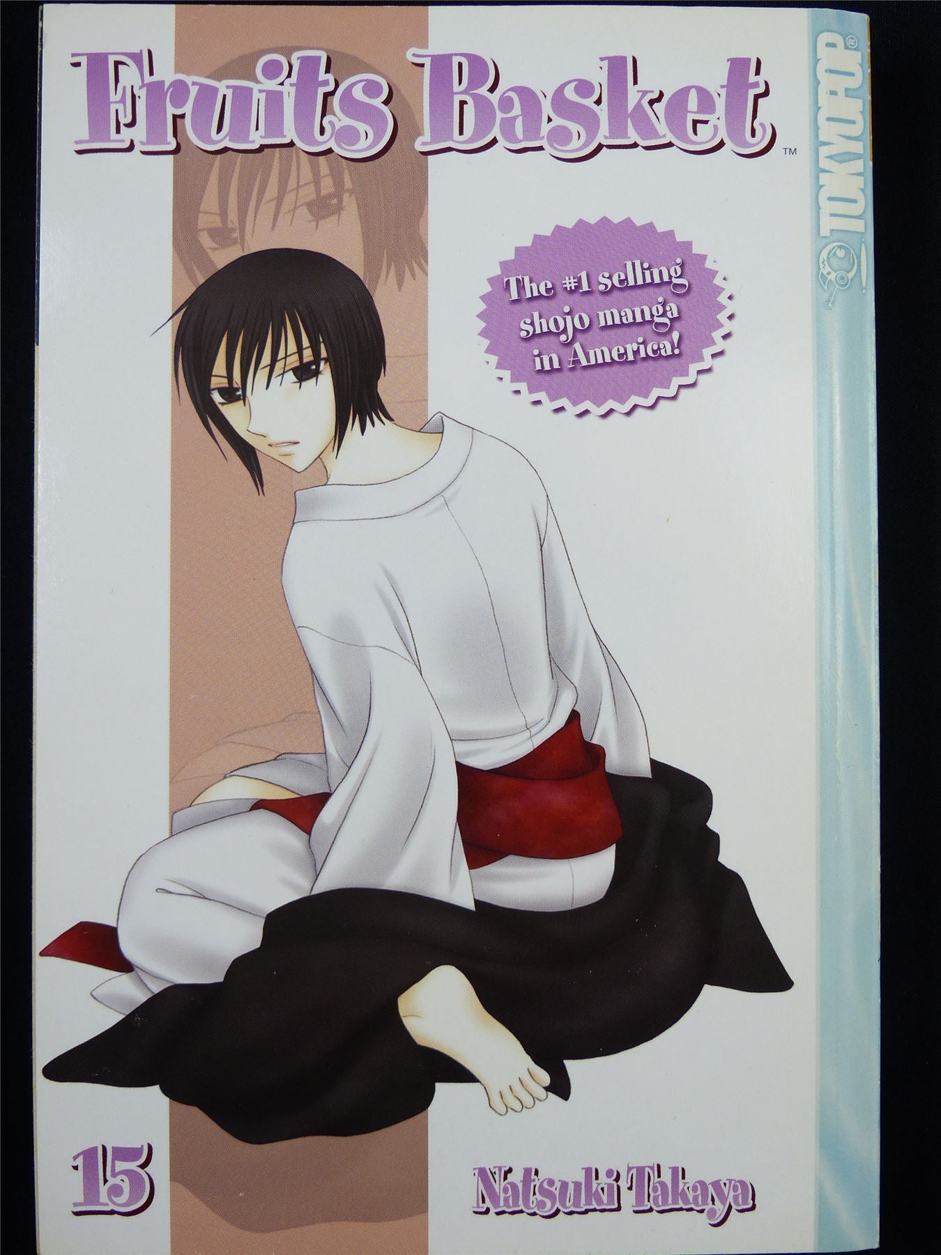 FRUIT Basket Volume 15 - Tokyo Pop Manga #3JP