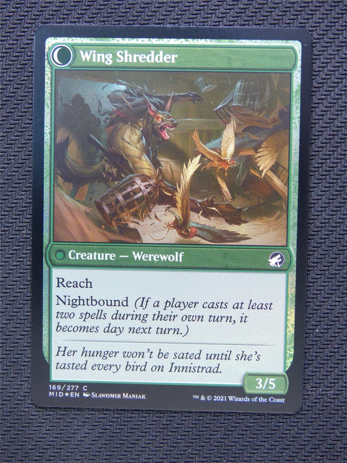 Bird Admirer Wing Shredder Foil - Innistrad - Mtg Card #3O8