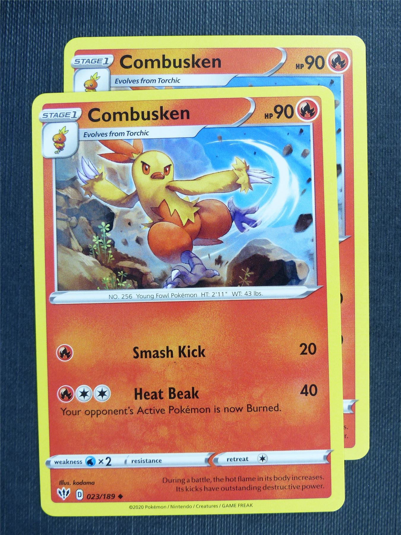 Combusken 023/189 x2 - DAA - Pokemon Card #3E8