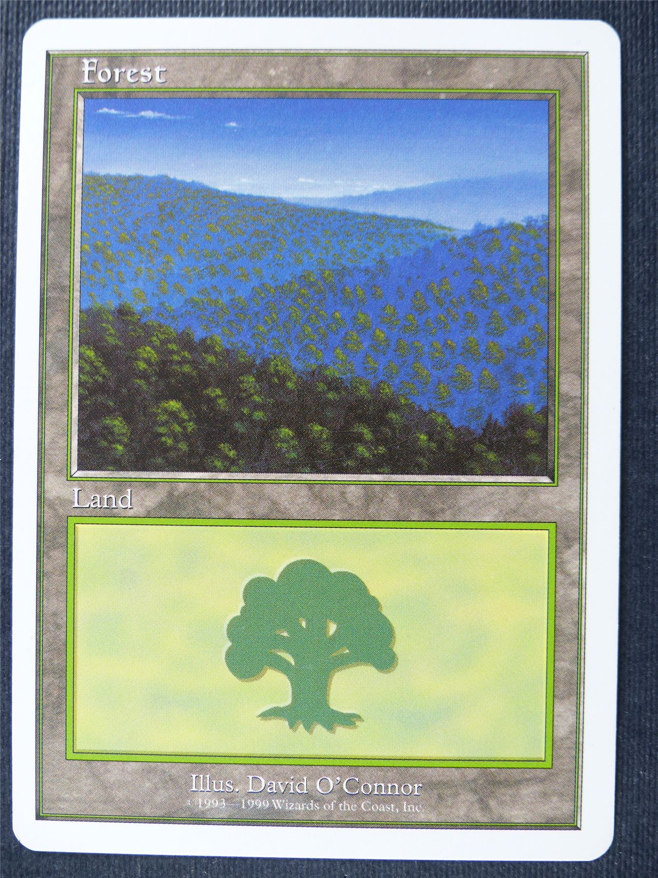 Forest - Fifth Ed - Mtg Card #1Y2