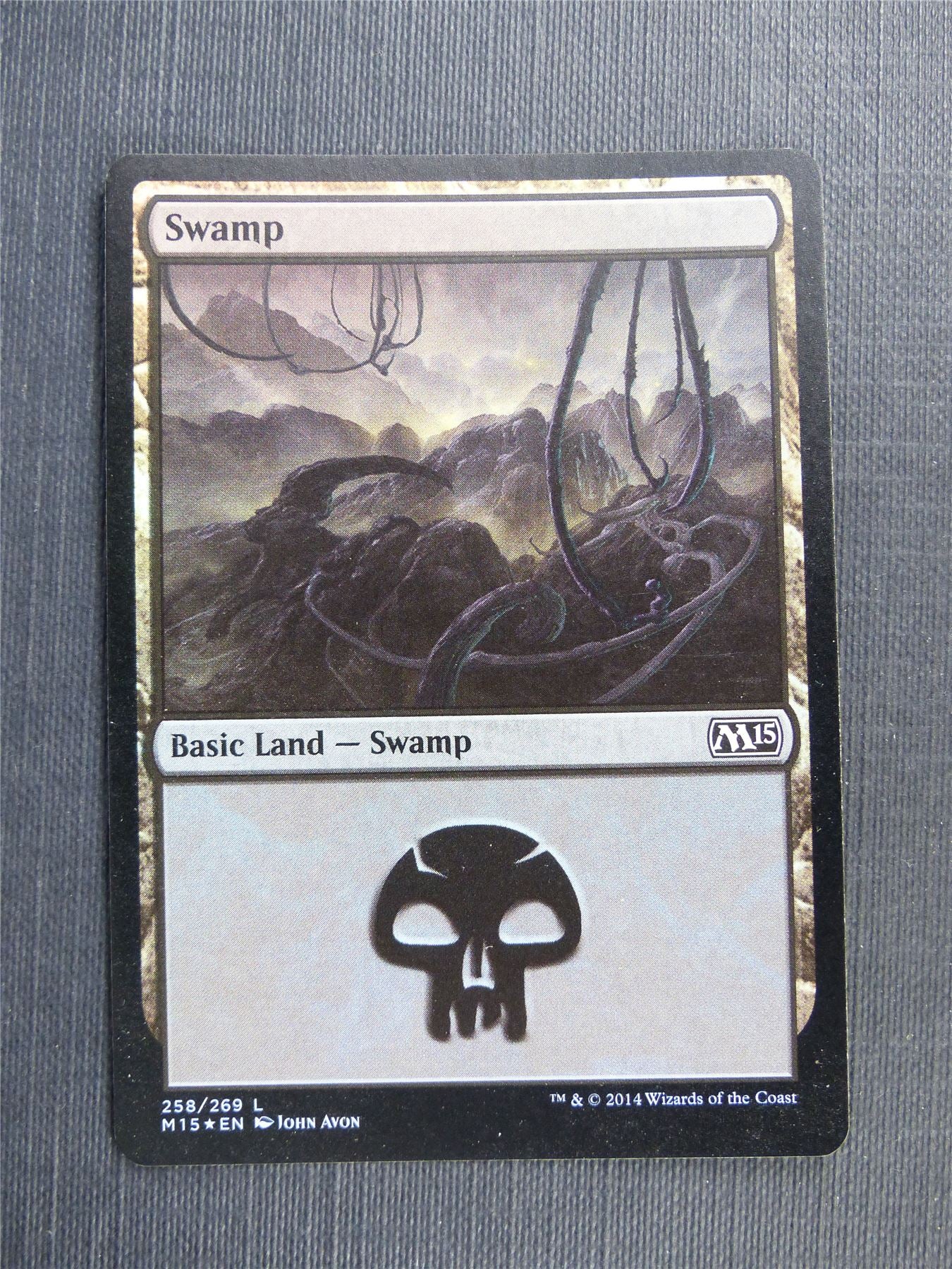 Swamp 258/269 Foil - Mtg Magic Cards #53U