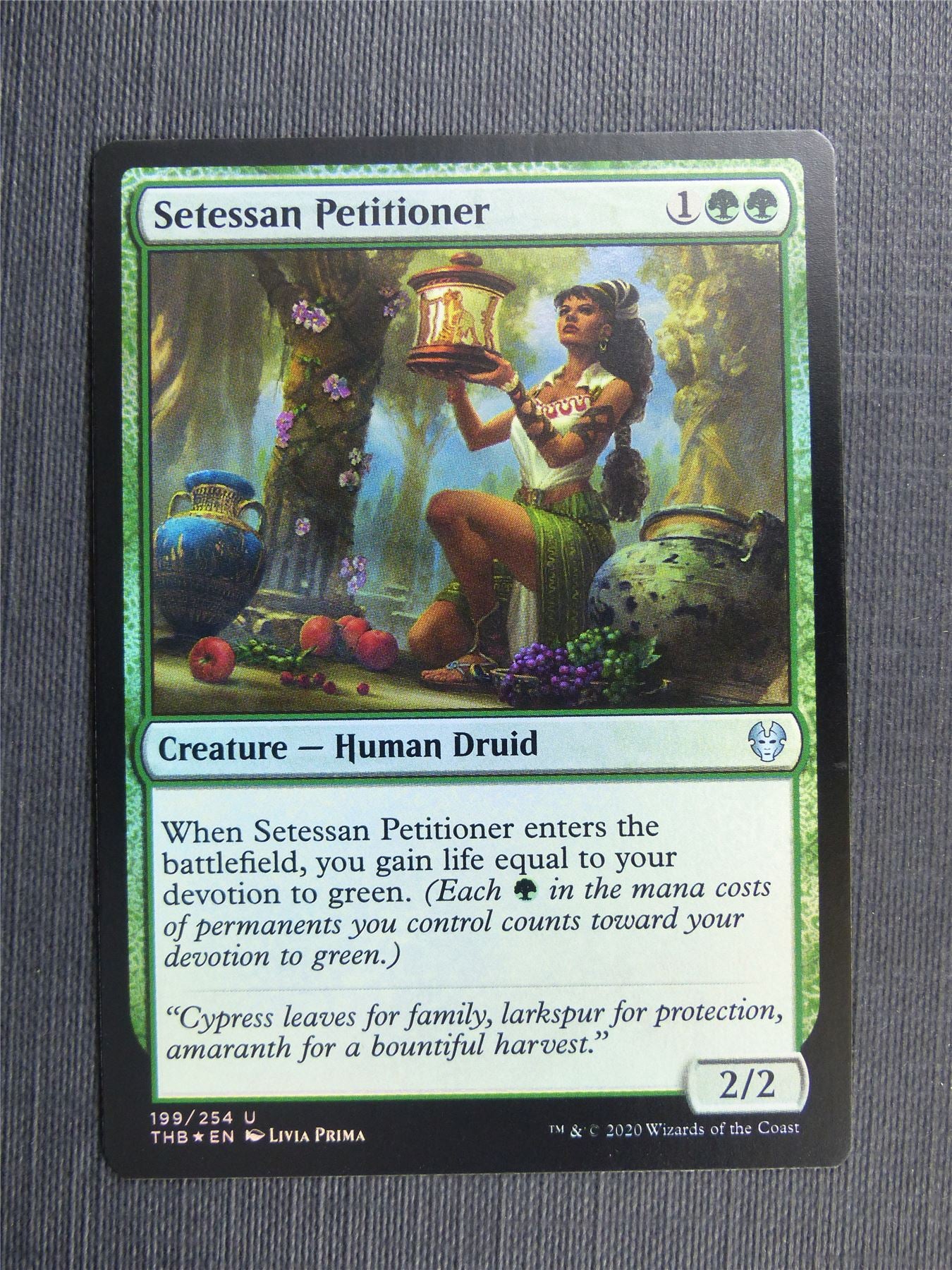 Setessan Petitioner Foil - Theros Collector Ed - Mtg Magic Cards #3LD