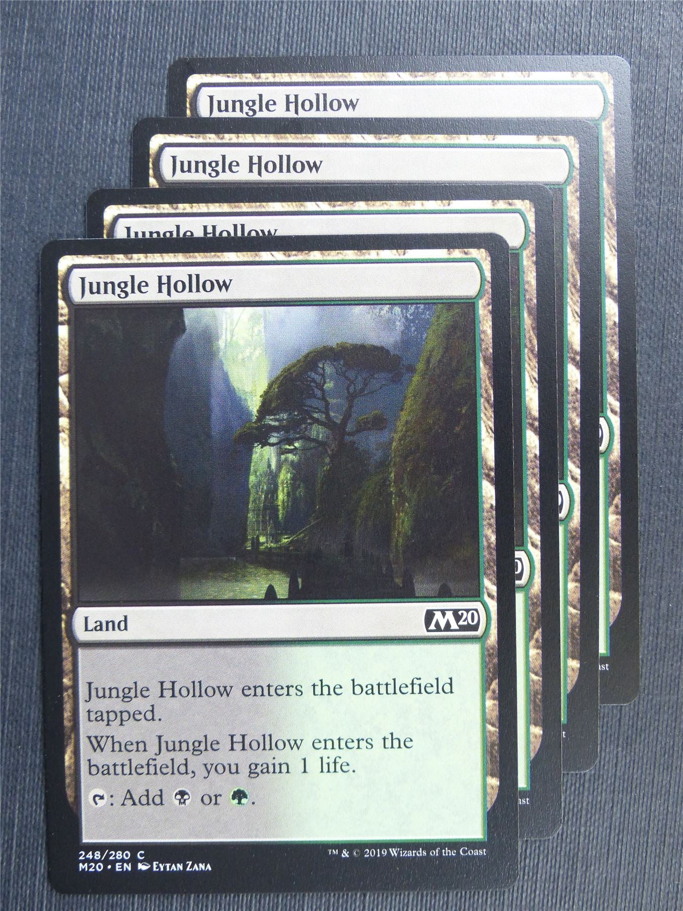 Jungle Hollow x4 #3V5