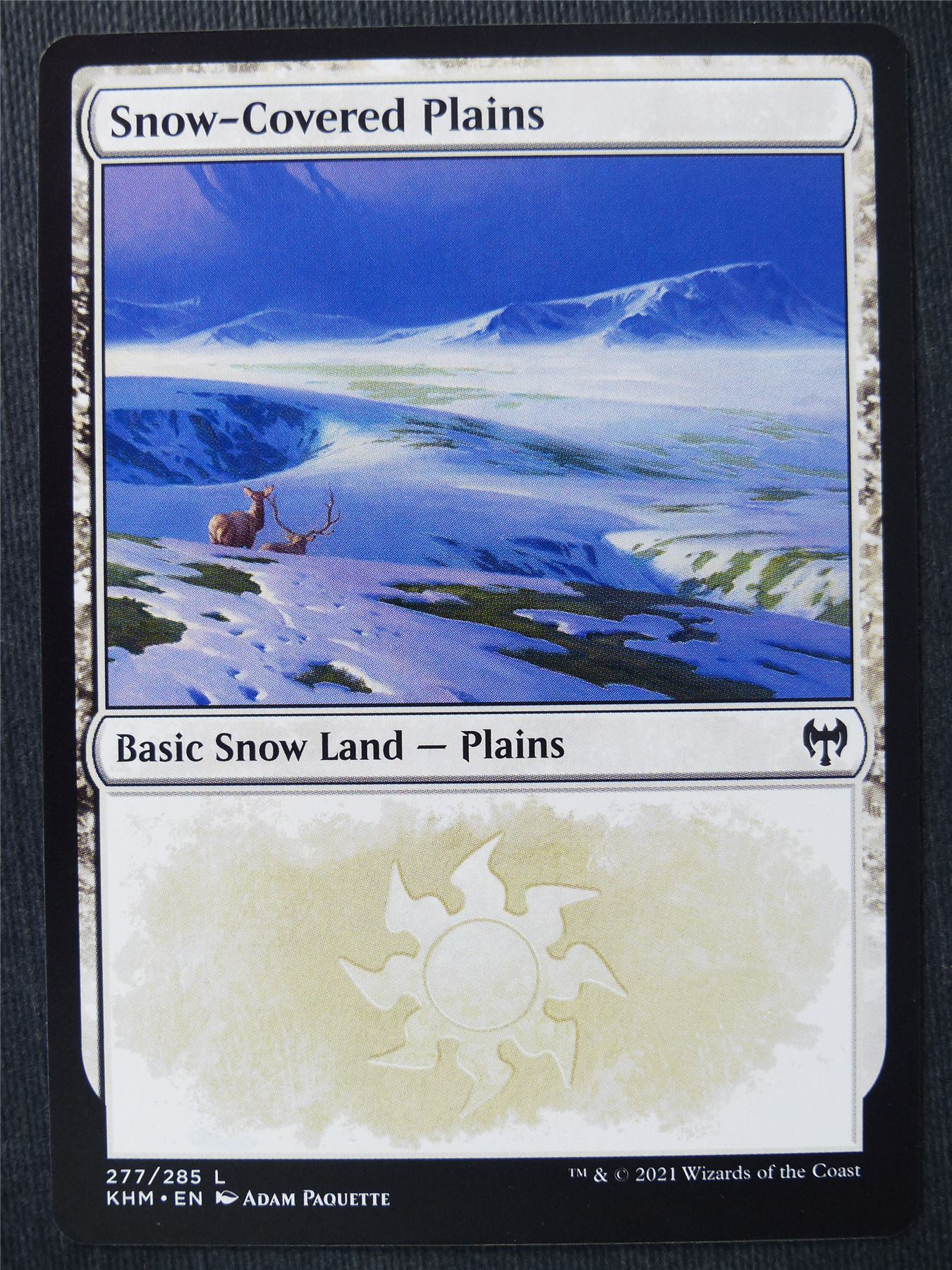 Snow-Covered Plains 277/285 - Mtg Magic Cards #3D