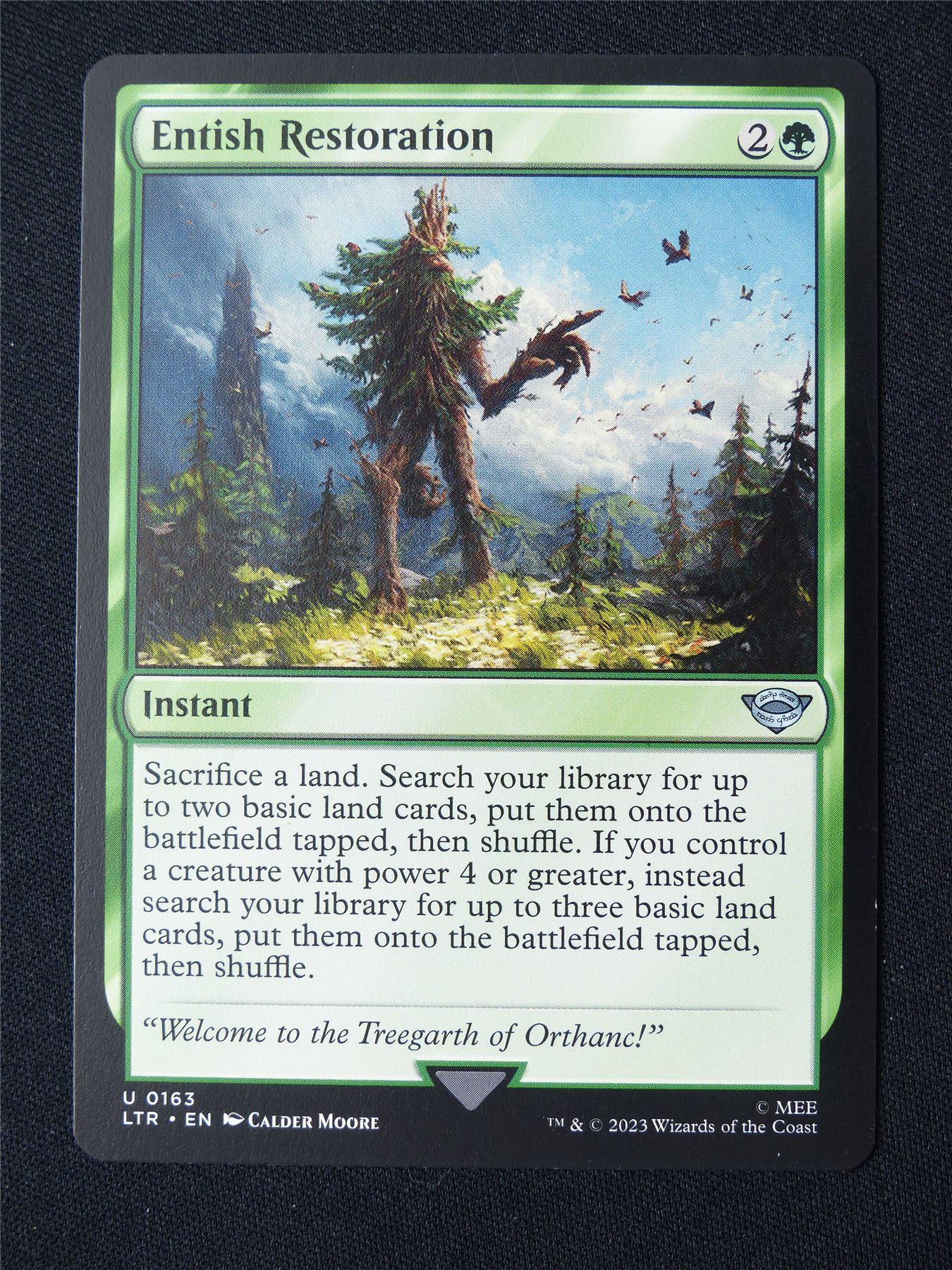 Entish Restoration - LTR - Mtg Card #9BE