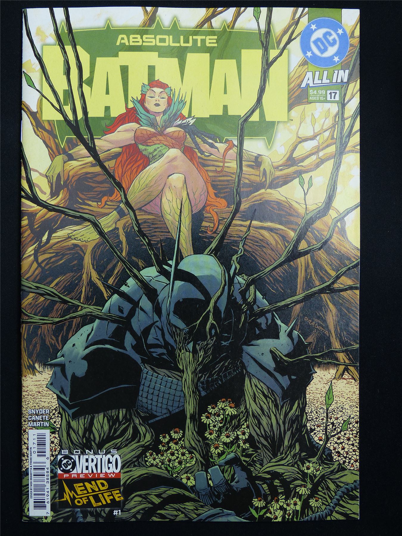 Absolute BATMAN #17 - DC Comic #39D