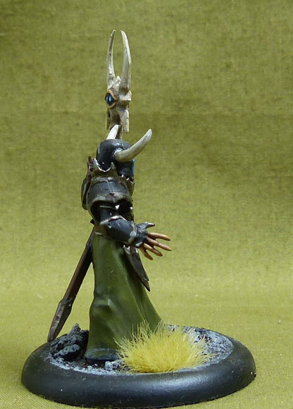 Chaos Sorcerer Lord painted OOP - Chaos - Warhammer AoS #53K