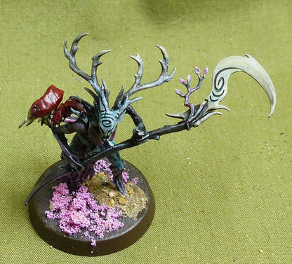 Branchwych painted - Sylvaneth - Warhammer AoS #16X