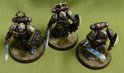 Bladeguard Veterans painted - Space Marines - Warhammer 40K #1BE