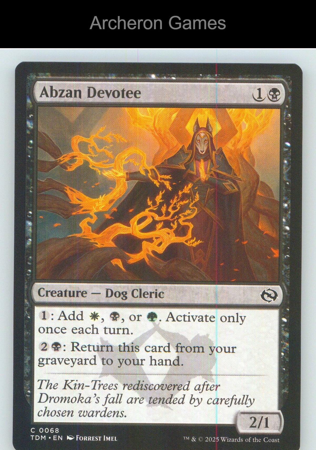 Abzan Devotee TDM 68 C MTG Card NM/EX+