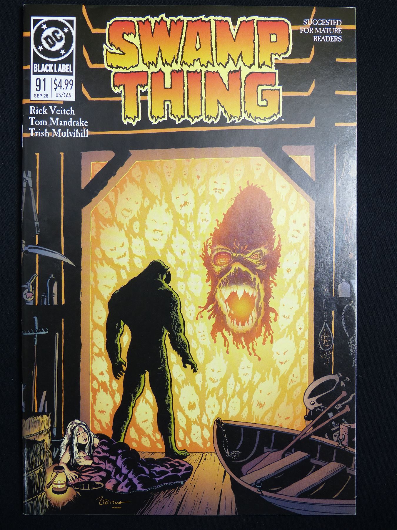 SWAMP Thing #91 Cvr A - DC Comic #376