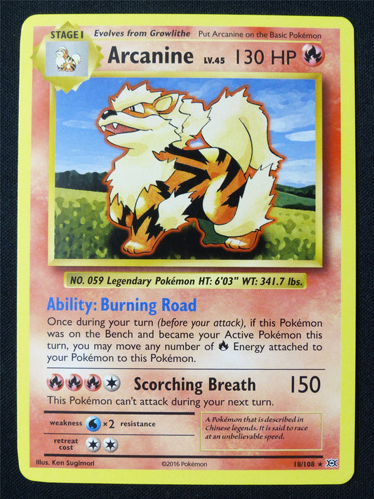 Arcanine 18/108 XY Evolutions - Pokemon Card #1DC