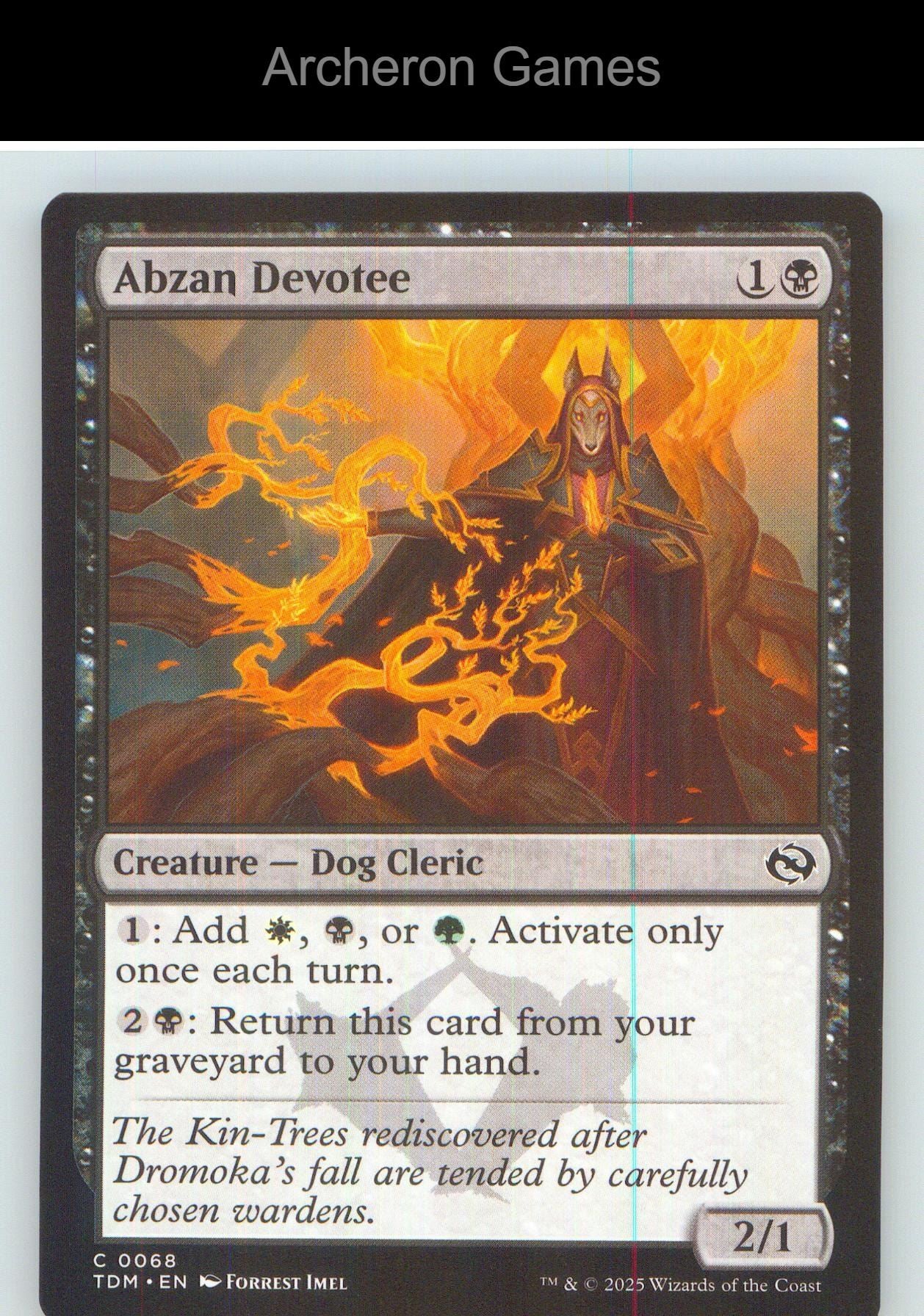 Abzan Devotee TDM 68 C MTG Card NM/EX+