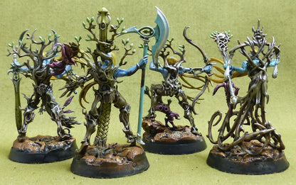 Ylthari's Guardians painted - Order Warband - Warhammer Underworlds #2PV