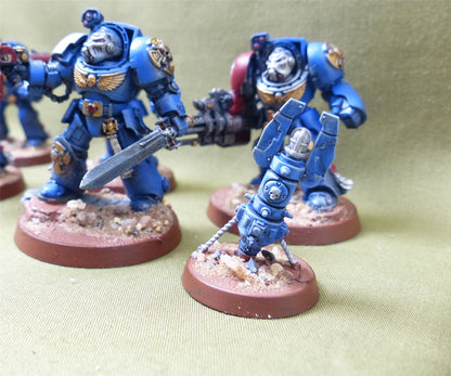 Space Marines - Terminator Squad painted - Warhammer 40K #19Y