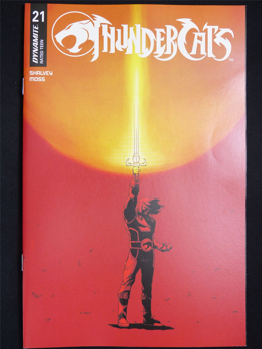 THUNDERCATS #21 Cvr B - Dynamite Comic #NN