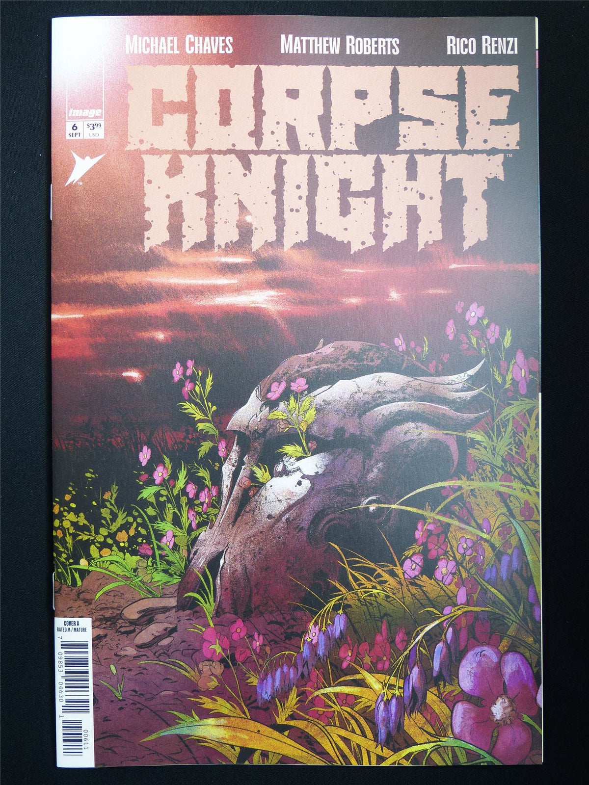 CORPSE Knight #6 Cvr A - Sep 2026 Image Comic #4CN