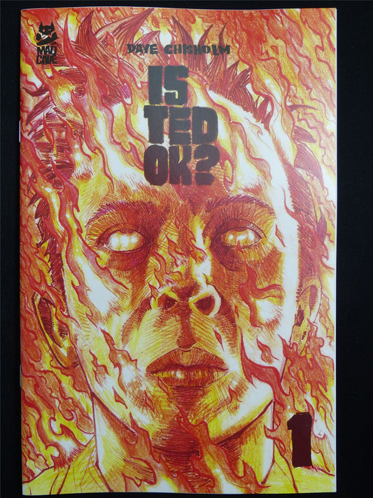 Is TED Ok? #1 - B&B Feb 2026 Mad Cave Comic #2YA